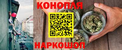 гидра Будённовск