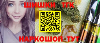 гидра Будённовск