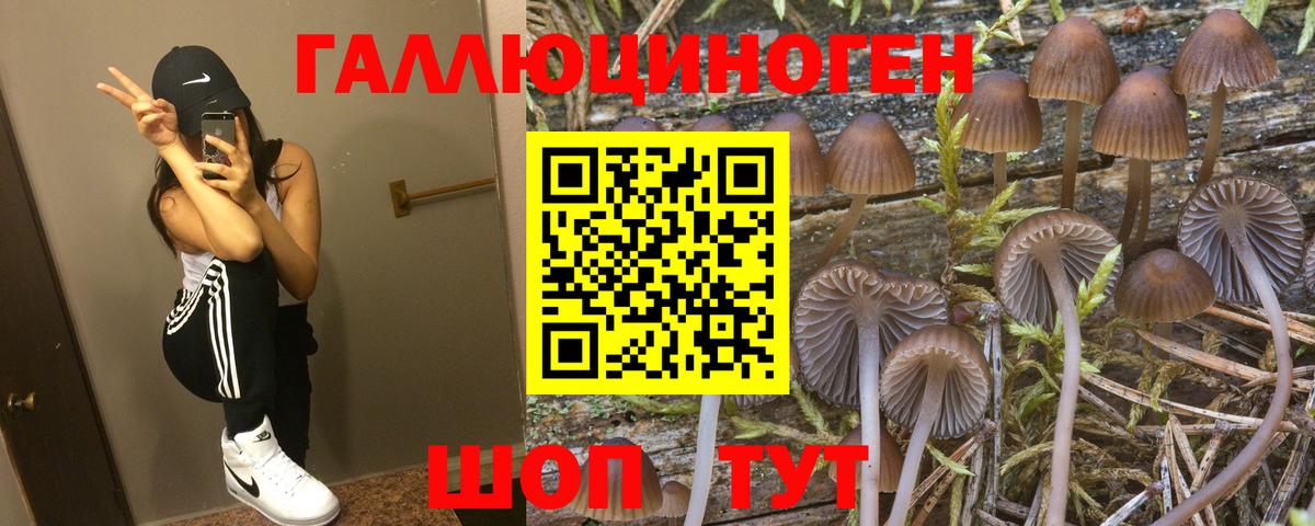Псилоцибиновые грибы GOLDEN TEACHER  Вход с VPN  как найти   Клинцы 
