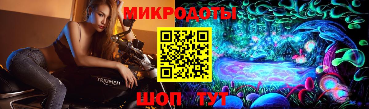 Псилоцибиновые грибы Cubensis Клинцы